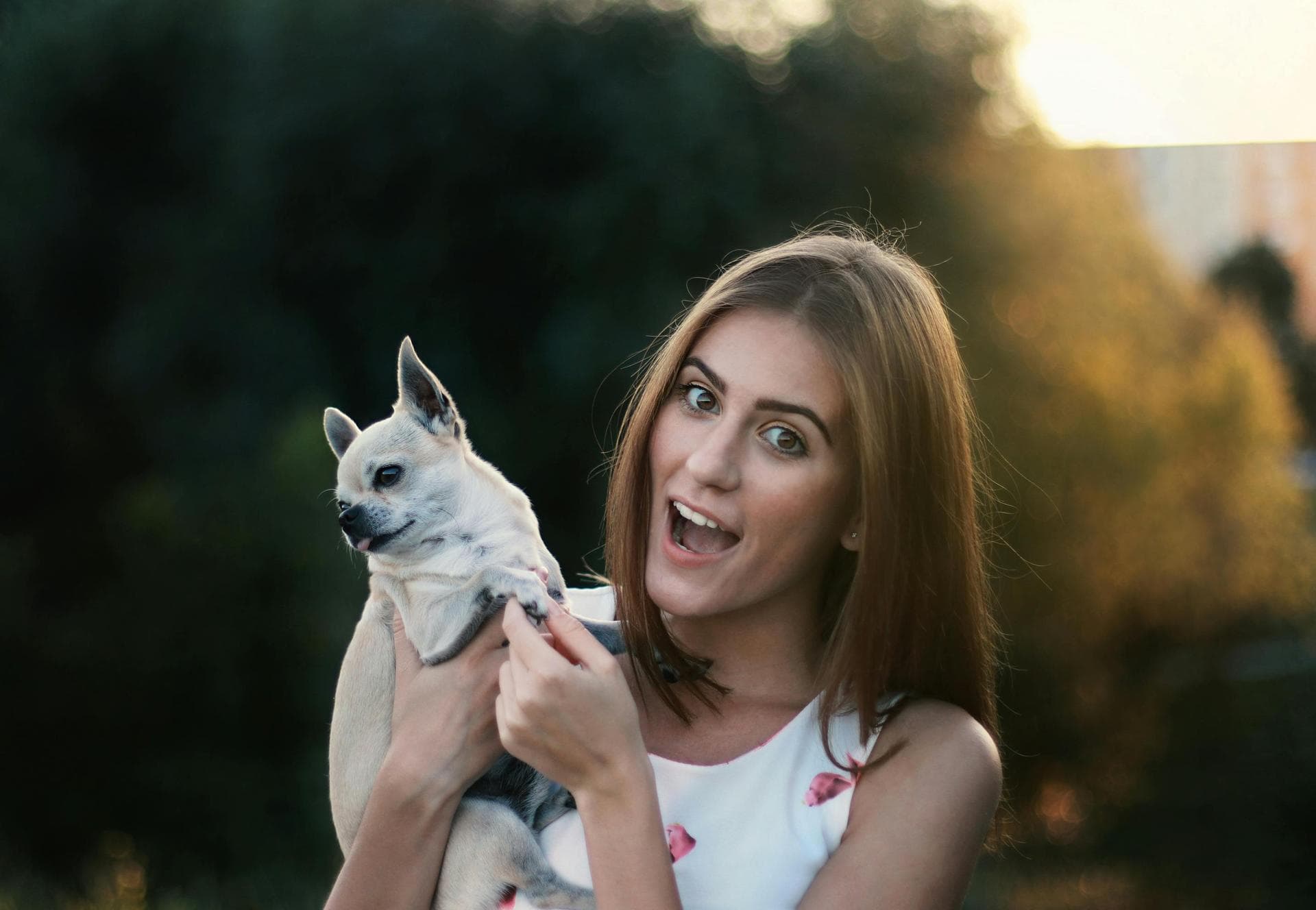 Dog & Cat Vets in El Dorado